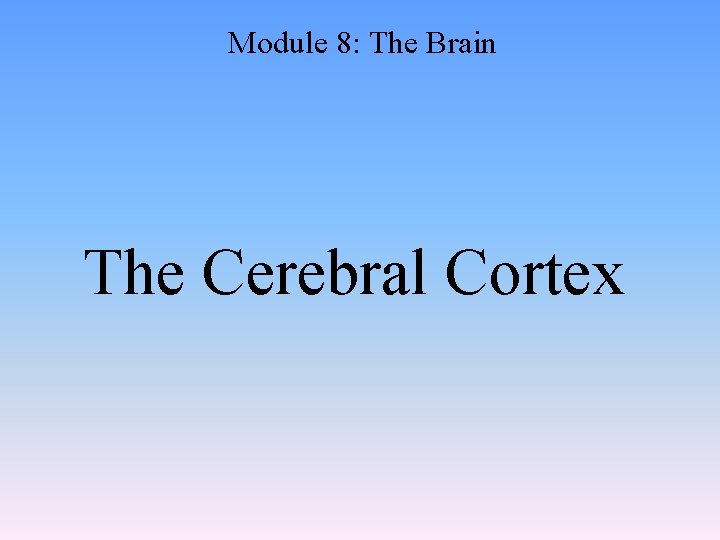 Module 8: The Brain The Cerebral Cortex 