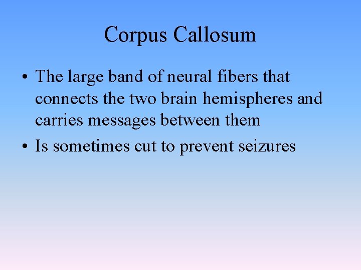 Corpus Callosum • The large band of neural fibers that connects the two brain