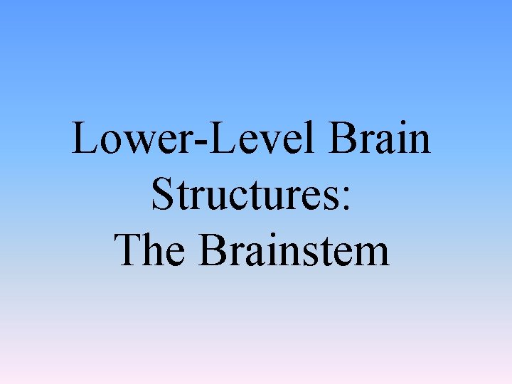 Lower-Level Brain Structures: The Brainstem 