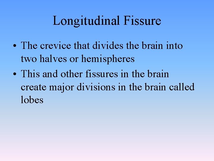 Longitudinal Fissure • The crevice that divides the brain into two halves or hemispheres Longitudinal Fissure • The crevice that divides the brain into two halves or hemispheres