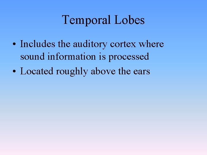 Temporal Lobes • Includes the auditory cortex where sound information is processed • Located