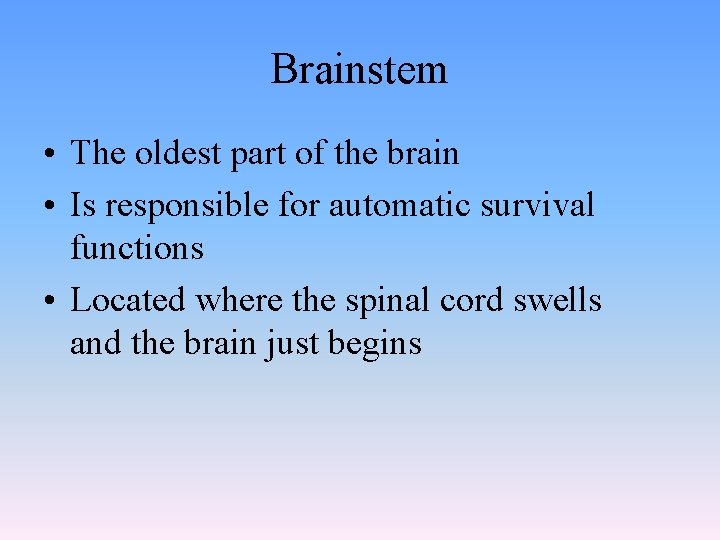 Brainstem • The oldest part of the brain • Is responsible for automatic survival