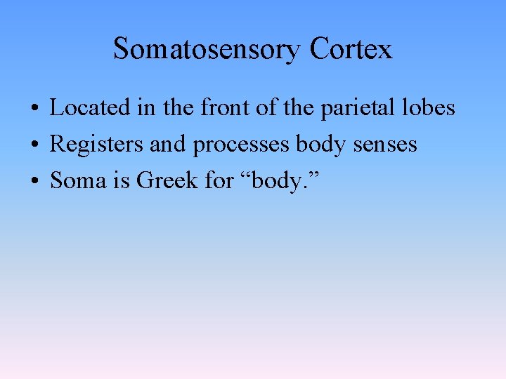 Somatosensory Cortex • Located in the front of the parietal lobes • Registers and