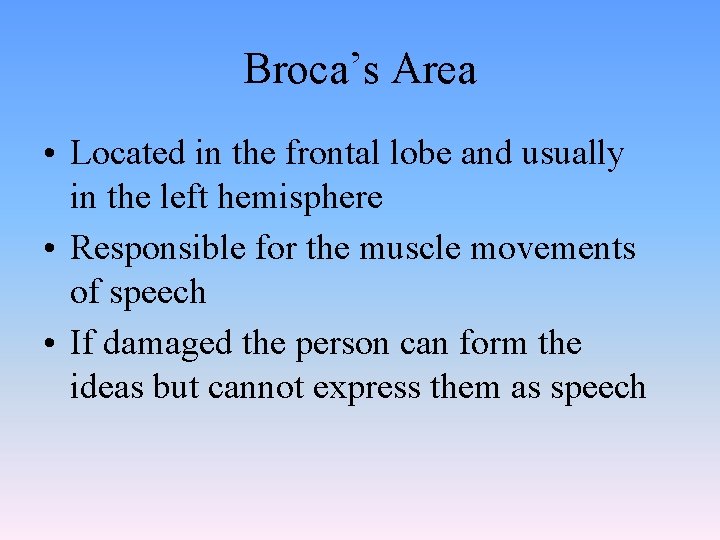 Broca’s Area • Located in the frontal lobe and usually in the left hemisphere