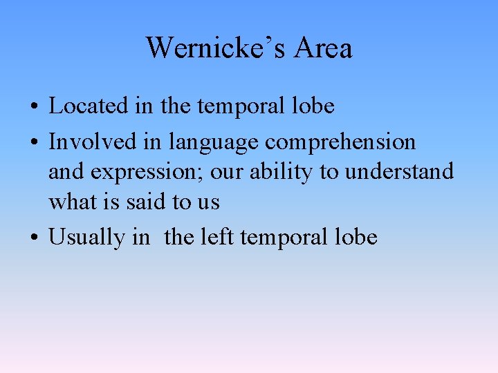 Wernicke’s Area • Located in the temporal lobe • Involved in language comprehension and