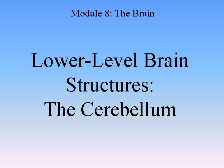 Module 8: The Brain Lower-Level Brain Structures: The Cerebellum 