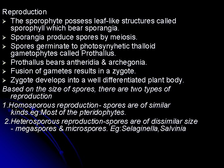 Reproduction Ø The sporophyte possess leaf-like structures called sporophyll which bear sporangia. Ø Sporangia