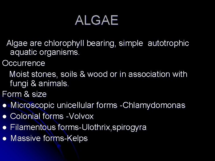 ALGAE Algae are chlorophyll bearing, simple autotrophic aquatic organisms. Occurrence Moist stones, soils &