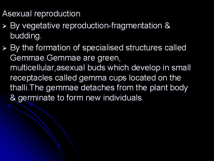 Asexual reproduction Ø By vegetative reproduction-fragmentation & budding. Ø By the formation of specialised