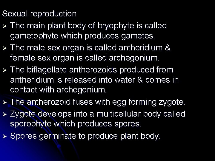 Sexual reproduction Ø The main plant body of bryophyte is called gametophyte which produces