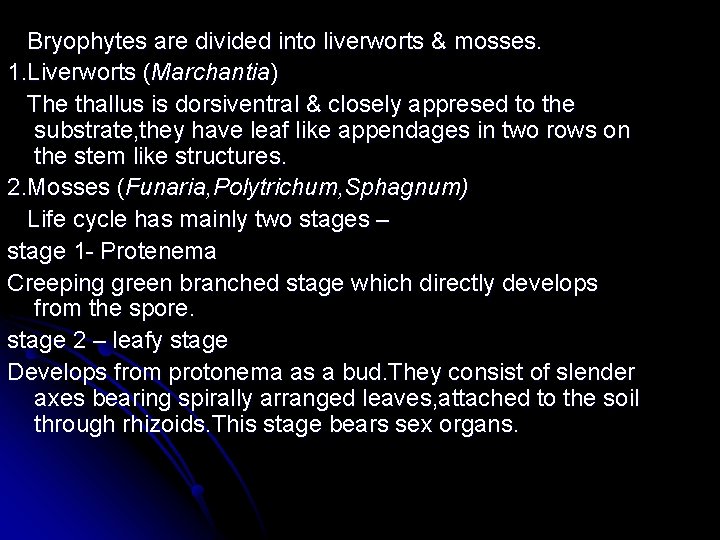 Bryophytes are divided into liverworts & mosses. 1. Liverworts (Marchantia) The thallus is dorsiventral