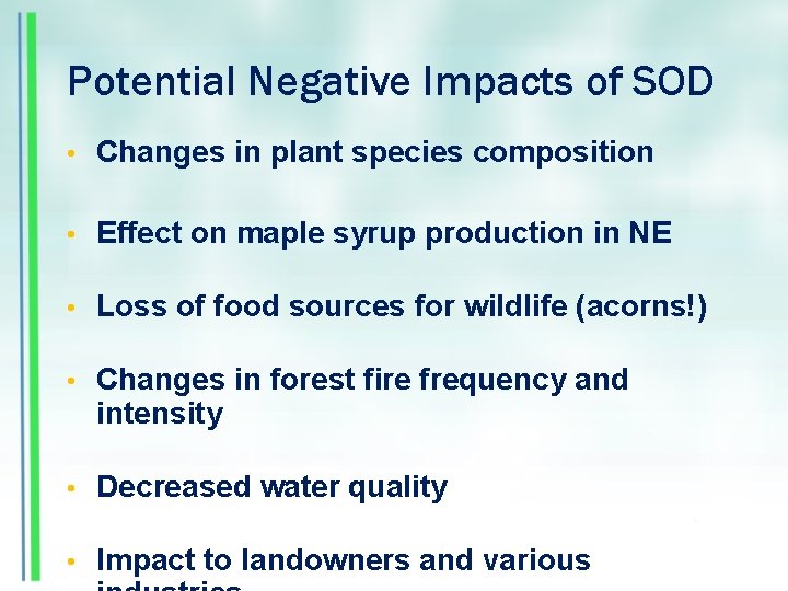 Potential Negative Impacts of SOD • Changes in plant species composition • Effect on
