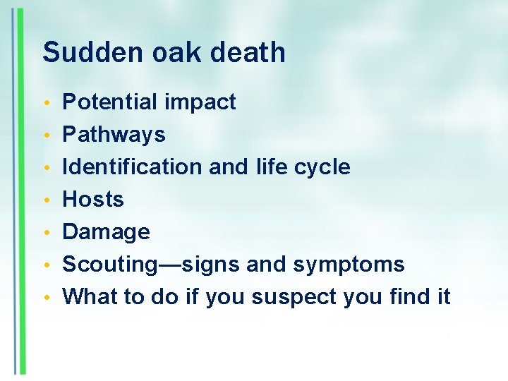 Sudden oak death • Potential impact • Pathways • Identification and life cycle •