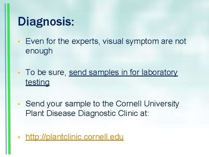 Diagnosis: • Even for the experts, visual symptom are not enough • To be