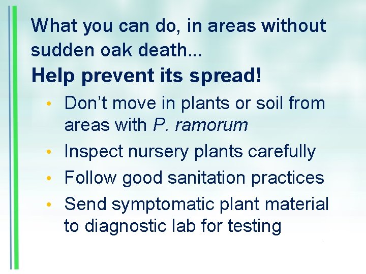 What you can do, in areas without sudden oak death… Help prevent its spread!