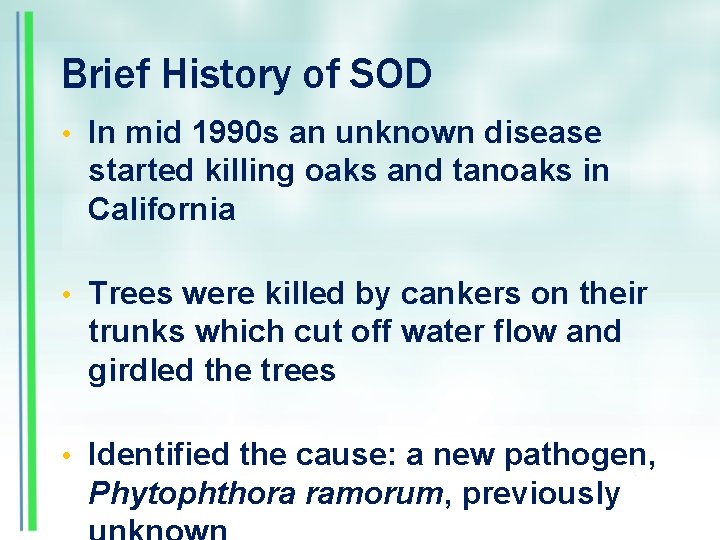Brief History of SOD • In mid 1990 s an unknown disease started killing