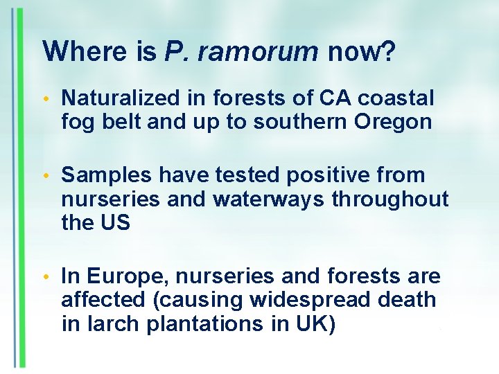 Where is P. ramorum now? • Naturalized in forests of CA coastal fog belt