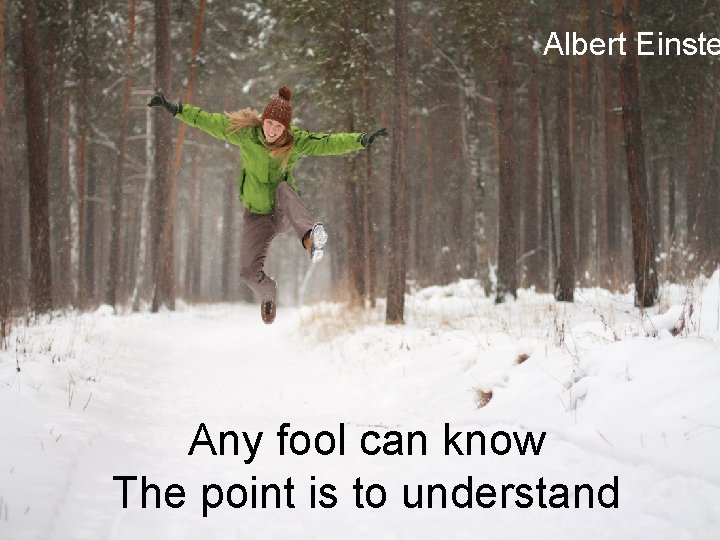 Albert Einste Any fool can know The point is to understand 