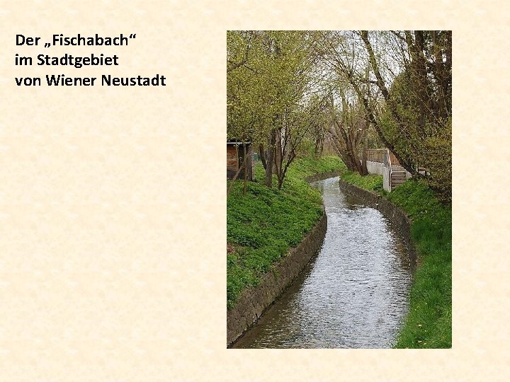 Der „Fischabach“ im Stadtgebiet von Wiener Neustadt 