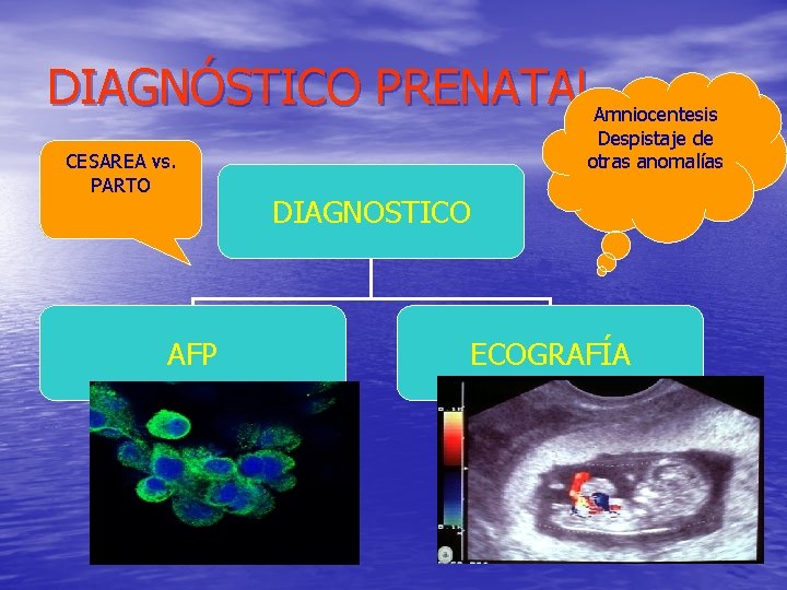 DIAGNÓSTICO PRENATALAmniocentesis CESAREA vs. PARTO AFP Despistaje de otras anomalías DIAGNOSTICO ECOGRAFÍA 