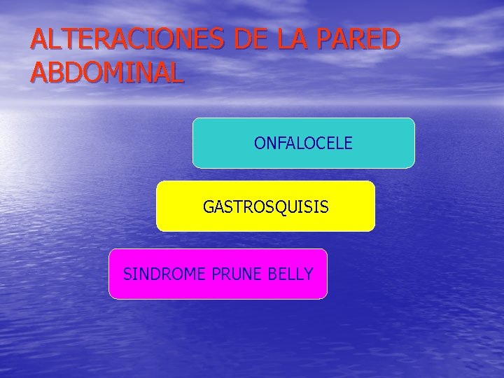 ALTERACIONES DE LA PARED ABDOMINAL ONFALOCELE GASTROSQUISIS SINDROME PRUNE BELLY 