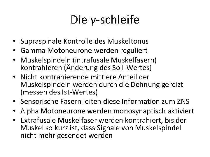 Die γ-schleife • Supraspinale Kontrolle des Muskeltonus • Gamma Motoneurone werden reguliert • Muskelspindeln