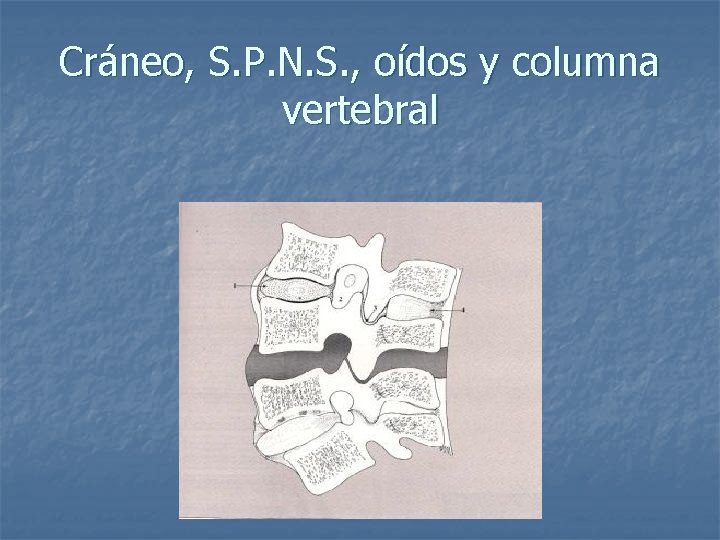 Cráneo, S. P. N. S. , oídos y columna vertebral 