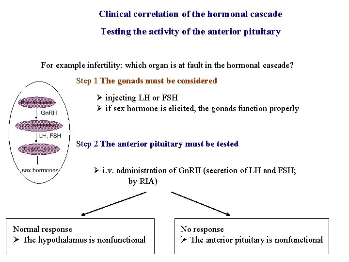 Clinical correlation of the hormonal cascade Testing the activity of the anterior pituitary For