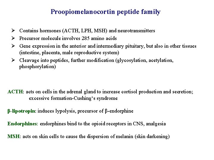Proopiomelanocortin peptide family Ø Contains hormones (ACTH, LPH, MSH) and neurotransmitters Ø Precursor molecule