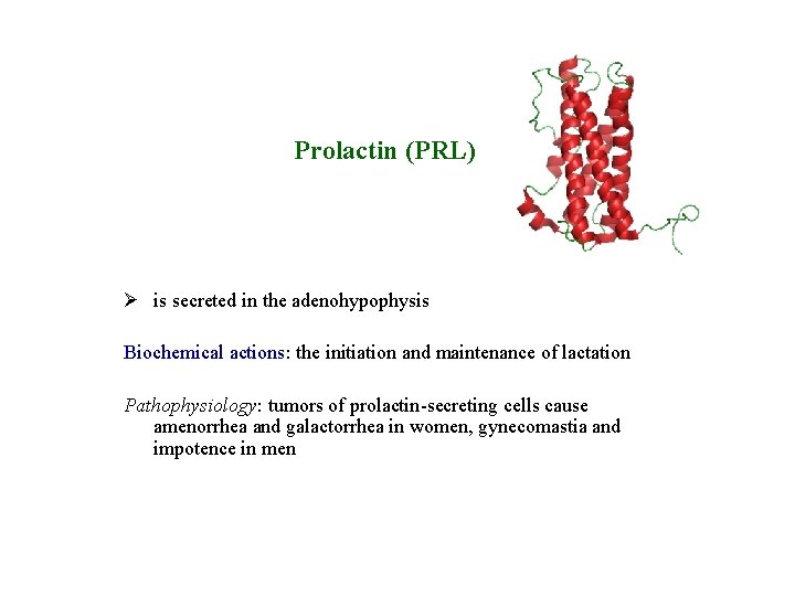 Prolactin (PRL) Ø is secreted in the adenohypophysis Biochemical actions: the initiation and maintenance