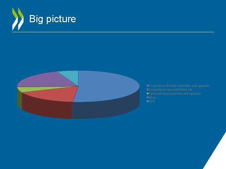 Big picture Compulsory for line ministries and agencies Compulsory: line ministries nly Optional: line