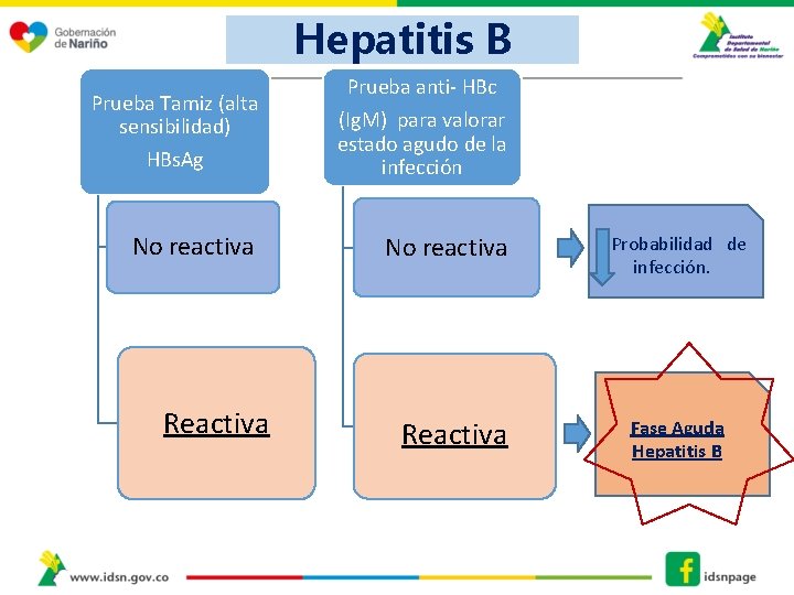 Hepatitis B Prueba anti- HBc Prueba Tamiz (alta sensibilidad) HBs. Ag (Ig. M) para
