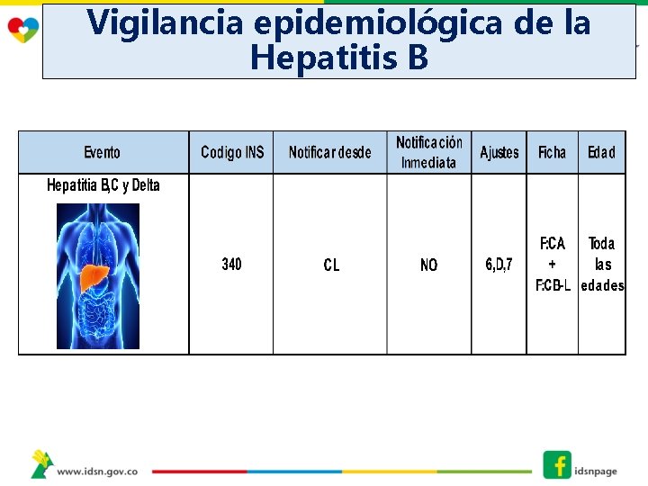 Vigilancia epidemiológica de la Hepatitis B 