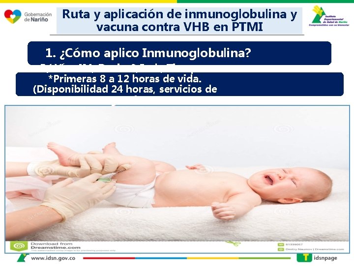 Ruta y aplicación de inmunoglobulina y vacuna contra VHB en PTMI 1. ¿Cómo aplico