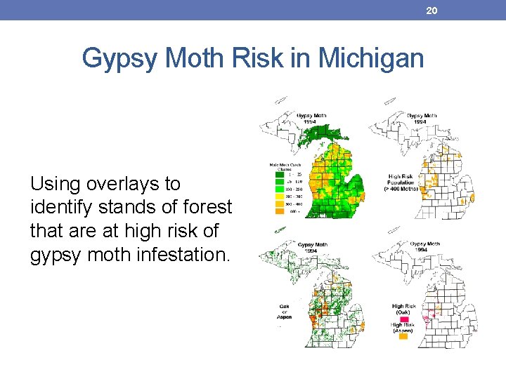 20 Gypsy Moth Risk in Michigan Using overlays to identify stands of forest that 20 Gypsy Moth Risk in Michigan Using overlays to identify stands of forest that