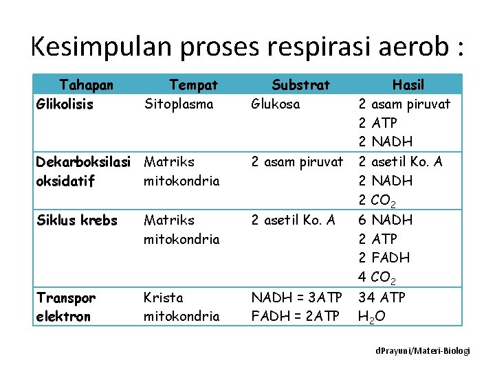 Kesimpulan proses respirasi aerob : Tahapan Glikolisis Tempat Sitoplasma Substrat Glukosa Dekarboksilasi Matriks oksidatif