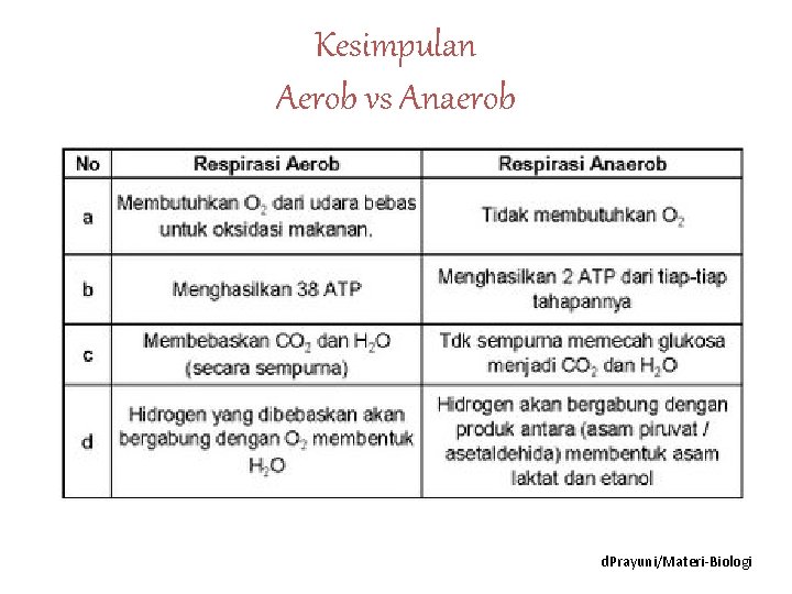 Kesimpulan Aerob vs Anaerob d. Prayuni/Materi-Biologi 