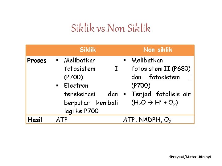 Siklik vs Non Siklik Proses Hasil Non siklik Melibatkan fotosistem II (P 680) (P