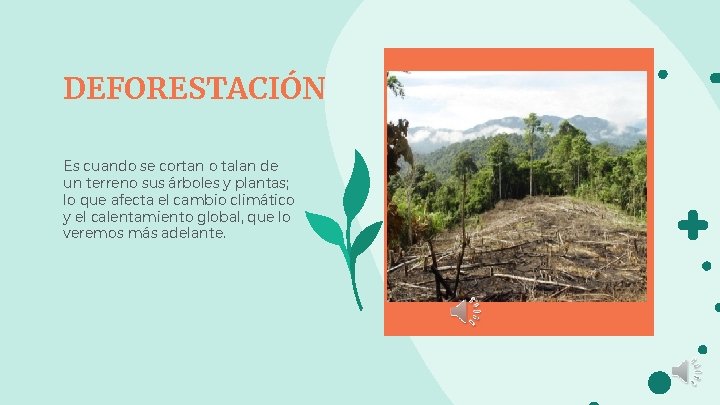 DEFORESTACIÓN Es cuando se cortan o talan de un terreno sus árboles y plantas;