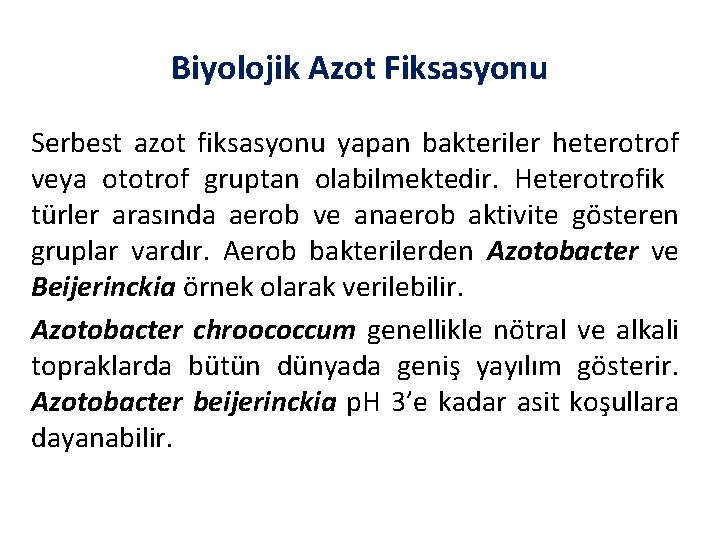 Biyolojik Azot Fiksasyonu Serbest azot fiksasyonu yapan bakteriler heterotrof veya ototrof gruptan olabilmektedir. Heterotrofik