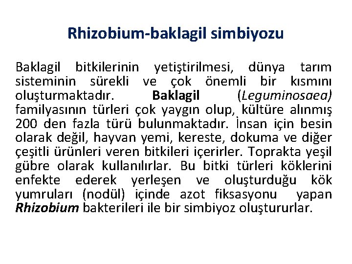 Rhizobium-baklagil simbiyozu Baklagil bitkilerinin yetiştirilmesi, dünya tarım sisteminin sürekli ve çok önemli bir kısmını