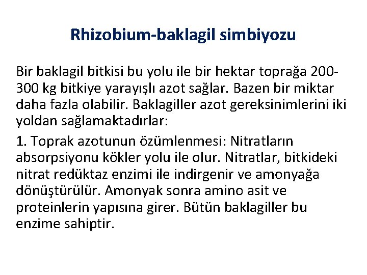 Rhizobium-baklagil simbiyozu Bir baklagil bitkisi bu yolu ile bir hektar toprağa 200300 kg bitkiye