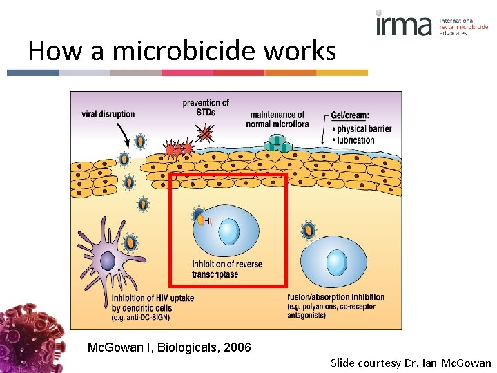 How a microbicide works Mc. Gowan I, Biologicals, 2006 Slide courtesy Dr. Ian Mc.