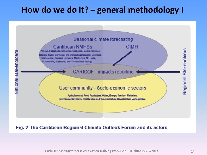 How do we do it? – general methodology I Cari. COF seasonal forecast verification