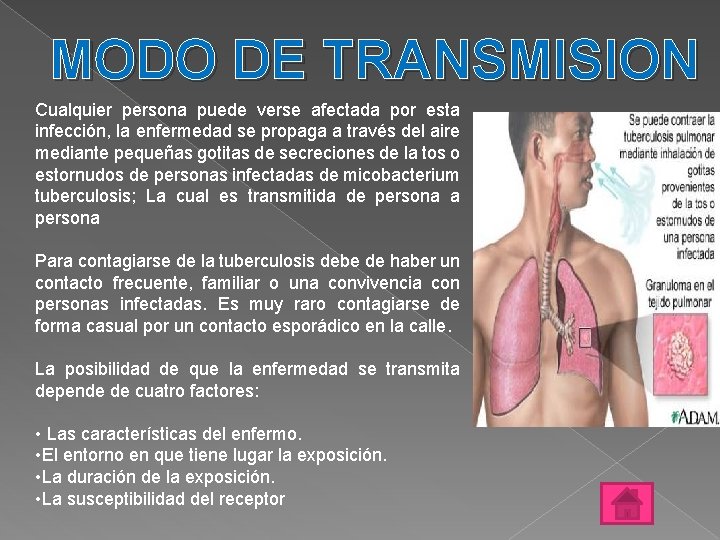 MODO DE TRANSMISION Cualquier persona puede verse afectada por esta infección, la enfermedad se