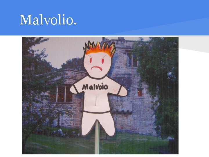 Malvolio. 