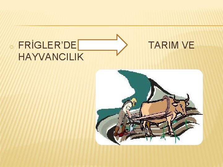 o FRİGLER’DE HAYVANCILIK TARIM VE 