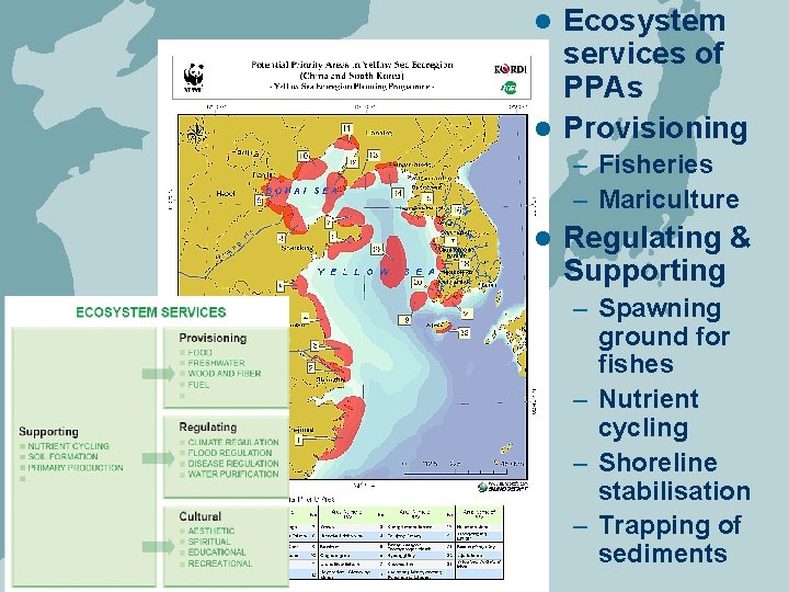 Ecosystem services of PPAs l Provisioning l – Fisheries – Mariculture l Regulating &