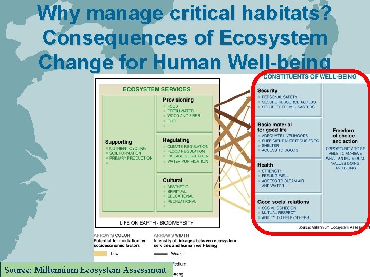 Why manage critical habitats? Consequences of Ecosystem Change for Human Well-being Source: Millennium Ecosystem