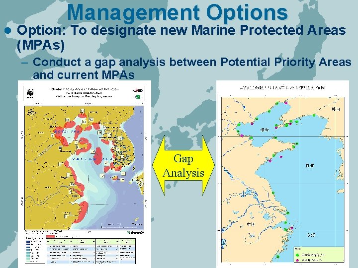 l Management Options Option: To designate new Marine Protected Areas (MPAs) – Conduct a